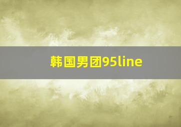 韩国男团95line