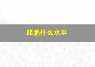 韩鹏什么水平