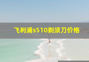 飞利浦s510剃须刀价格