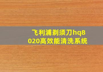 飞利浦剃须刀hq8020高效能清洗系统