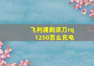 飞利浦剃须刀rq1250怎么充电