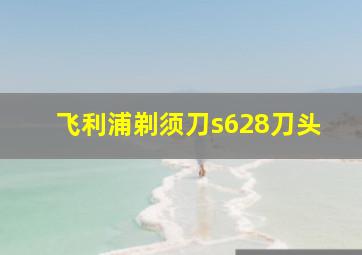 飞利浦剃须刀s628刀头