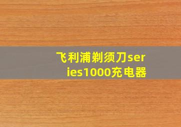 飞利浦剃须刀series1000充电器