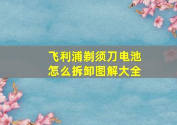 飞利浦剃须刀电池怎么拆卸图解大全