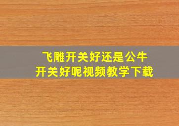 飞雕开关好还是公牛开关好呢视频教学下载