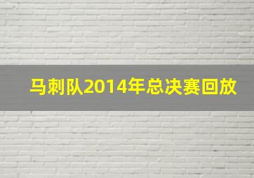 马刺队2014年总决赛回放