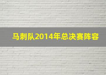 马刺队2014年总决赛阵容