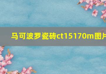 马可波罗瓷砖ct15170m图片