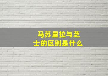 马苏里拉与芝士的区别是什么