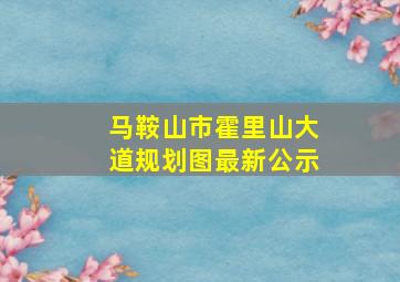 马鞍山市霍里山大道规划图最新公示