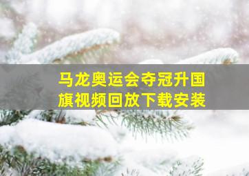 马龙奥运会夺冠升国旗视频回放下载安装