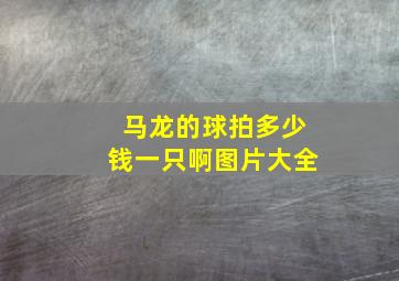 马龙的球拍多少钱一只啊图片大全