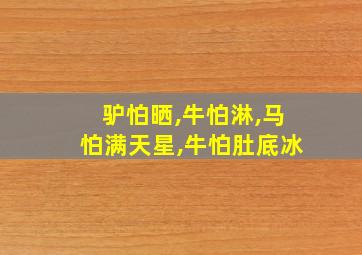 驴怕晒,牛怕淋,马怕满天星,牛怕肚底冰