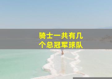 骑士一共有几个总冠军球队