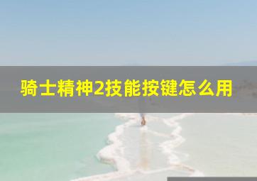 骑士精神2技能按键怎么用