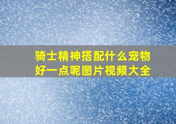 骑士精神搭配什么宠物好一点呢图片视频大全