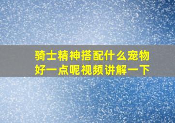 骑士精神搭配什么宠物好一点呢视频讲解一下