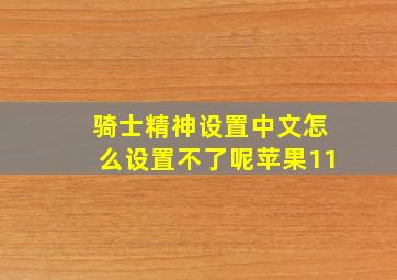 骑士精神设置中文怎么设置不了呢苹果11