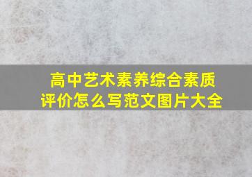 高中艺术素养综合素质评价怎么写范文图片大全