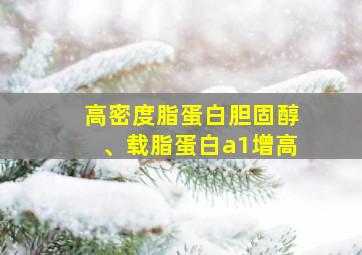 高密度脂蛋白胆固醇、载脂蛋白a1增高