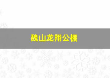 魏山龙翔公棚