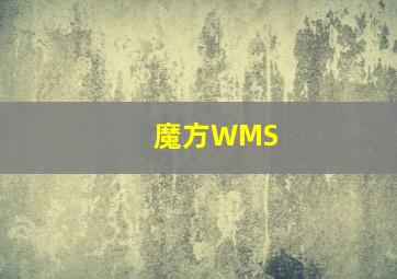 魔方WMS