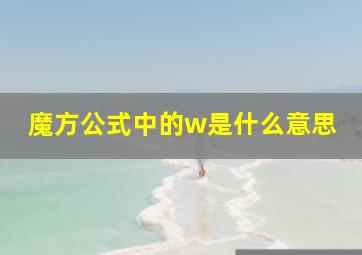 魔方公式中的w是什么意思