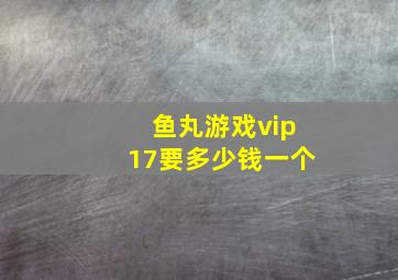 鱼丸游戏vip17要多少钱一个