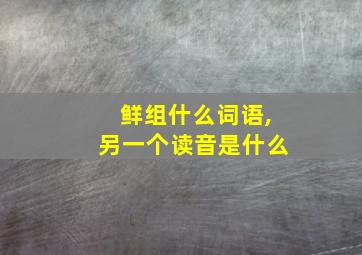 鲜组什么词语,另一个读音是什么