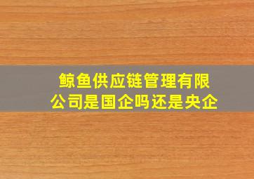 鲸鱼供应链管理有限公司是国企吗还是央企