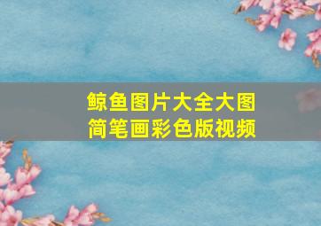 鲸鱼图片大全大图简笔画彩色版视频