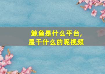 鲸鱼是什么平台,是干什么的呢视频