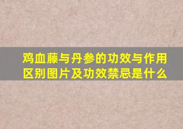 鸡血藤与丹参的功效与作用区别图片及功效禁忌是什么