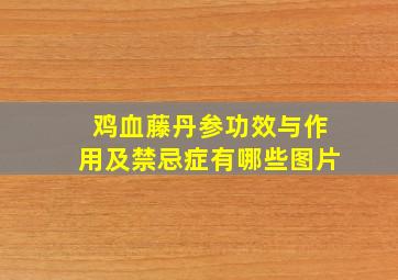 鸡血藤丹参功效与作用及禁忌症有哪些图片