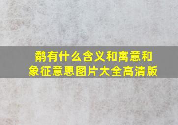 鹬有什么含义和寓意和象征意思图片大全高清版