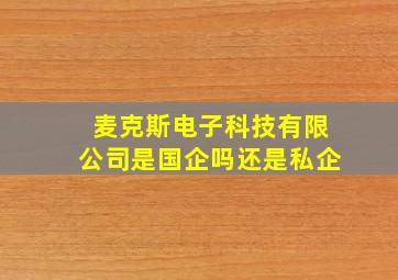 麦克斯电子科技有限公司是国企吗还是私企