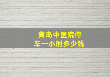 黄岛中医院停车一小时多少钱