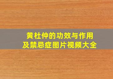 黄杜仲的功效与作用及禁忌症图片视频大全