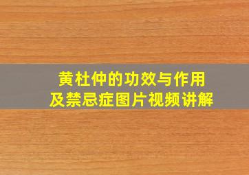 黄杜仲的功效与作用及禁忌症图片视频讲解