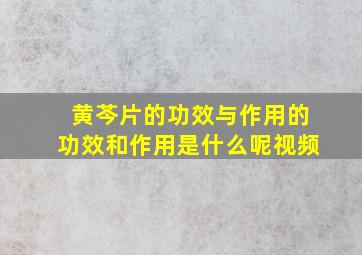 黄芩片的功效与作用的功效和作用是什么呢视频