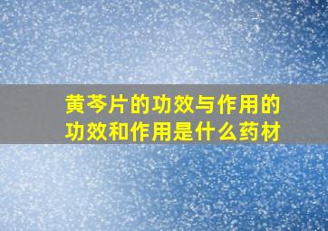 黄芩片的功效与作用的功效和作用是什么药材