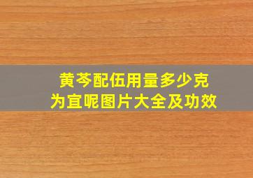 黄芩配伍用量多少克为宜呢图片大全及功效