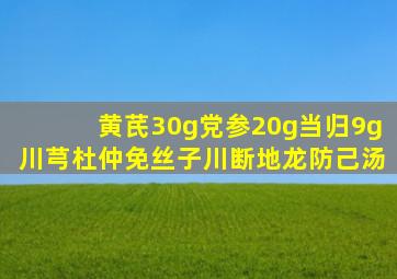 黄芪30g党参20g当归9g川芎杜仲免丝子川断地龙防己汤