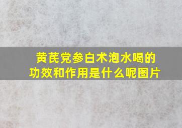 黄芪党参白术泡水喝的功效和作用是什么呢图片