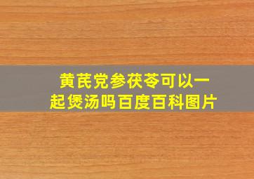 黄芪党参茯苓可以一起煲汤吗百度百科图片