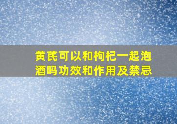 黄芪可以和枸杞一起泡酒吗功效和作用及禁忌