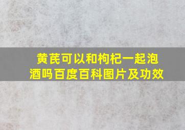 黄芪可以和枸杞一起泡酒吗百度百科图片及功效