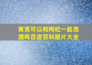 黄芪可以和枸杞一起泡酒吗百度百科图片大全