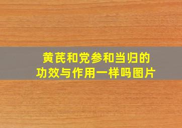 黄芪和党参和当归的功效与作用一样吗图片