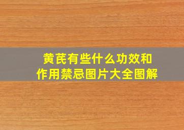 黄芪有些什么功效和作用禁忌图片大全图解